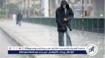 تحذير من الشبورة.. تفاصيل درجات الحرارة المتوقعة في مصر لمدة 5 أيام بمناسبة يناير 2026